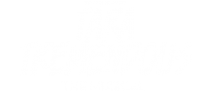 Stewart St. John's Tara Tremendous The Musical