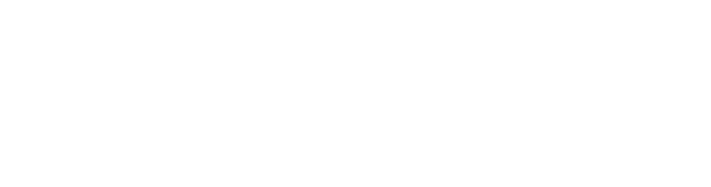 The A.I.M.E.E. Allen Show